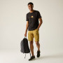 Чоловічі шорти Regatta Ruwan Shorts