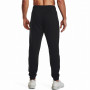 Чоловічі спортивні штани Under Armour Essential Fleece Jogger