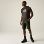 Чоловічі шорти Regatta Highton Shorts Long II