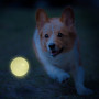 Іграшка для собак Nerf Dog LED launcher Air Strike