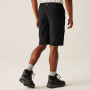Чоловічі шорти Regatta Highton Shorts Long II