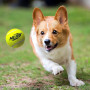 Іграшка для собак Nerf Dog Blaster + Tennis Balls 3 pcs