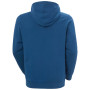 Чоловіча толстовка Helly Hansen HH Logo Hoodie