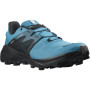 Чоловічі черевики Salomon Wildcross 2 Gore-Tex синій