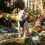 Шлея для собаки Mountain Paws Dog Harness