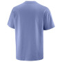 Чоловіча футболка Salomon Wild Rays Label SS Tee