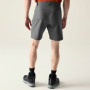 Чоловічі шорти Dare 2b Torrek II Short