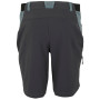 Чоловічі шорти Regatta Eldes Shorts