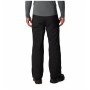 Чоловічі зимові штани Columbia Shafer Canyon™ Pant