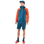 Чоловічі шорти Dynafit Transalper2 Light Dst Shorts M