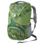 Dětský batoh Jack Wolfskin Ramson Top 20 Pack zelená deep forest paw 7933