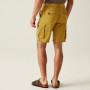 Чоловічі шорти Regatta Shorebay Shorts II
