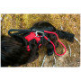 Шлея для собаки Mountain Paws Dog Harness