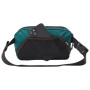 Поясна сумка Aevor Hip Bag Ease