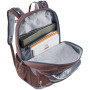 Шкільний рюкзак Deuter Cotogy