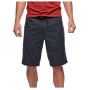 Чоловічі шорти Black Diamond M Notion shorts