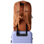 Рюкзак Cotopaxi Allpa 26L Daypack