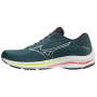 Чоловічі черевики Mizuno Wave Rider 25