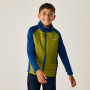 Дитяча куртка Regatta Boys Trekktain 3-in-1 II AvBlu/GldCyp
