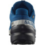 Чоловічі кросівки Salomon Speedcross 6 Gore-Tex