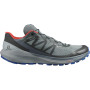 Чоловічі кросівки Salomon Sense Ride 4 Invisible Gtx сірий