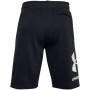 Чоловічі шорти Under Armour Rival FLC Big Logo Shorts