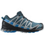 Чоловічі черевики Salomon Xa Pro 3D V8 GTX