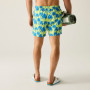 Плавки Regatta Loras Swim Short