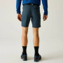 Чоловічі шорти Regatta Xert Stretch Shorts