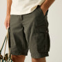 Чоловічі шорти Regatta Shorebay Shorts II