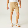 Чоловічі шорти Regatta Sabden Short