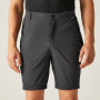 Чоловічі штани Regatta Travel Light Z/O Packaway Trousers