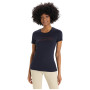 Жіноча футболка Icebreaker Tech Lite II SS Tee Ski Stripes