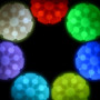 Іграшка для собак Nite Ize Glowstreak Rechargeable Led Ball