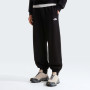 Чоловічі спортивні штани The North Face Essential Terry Simple Dome Relaxe
