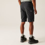 Чоловічі шорти Regatta Highton Shorts Long II