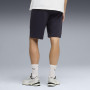 Чоловічі шорти Puma Ess 2 Color Logo Shorts