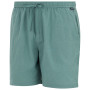 Чоловічі шорти Regatta Hadlin Shorts