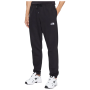 Чоловічі спортивні штани The North Face M Essential Jogger