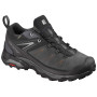 Чоловічі черевики Salomon X Ultra 3 Ltr GTX
