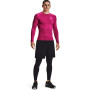 Чоловічі термоштани Under Armour HG Armour Leggings
