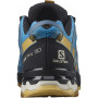 Чоловічі кросівки Salomon Xa Pro 3D V8 M