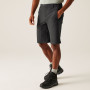 Чоловічі шорти Regatta Highton Shorts Long II