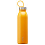 Термопляшка Aladdin Chilled Thermavac™ 550ml