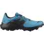 Чоловічі черевики Salomon Wildcross 2 Gore-Tex