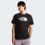 Чоловіча футболка The North Face Evolution Half Dome Regular Short Slee