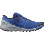 Чоловічі черевики Salomon Sense Ride 4