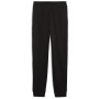 Жіночі спортивні штани Puma ESS METALLIC Sweatpants FL