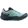 Жіночі кросівки Salomon Pulsar Trail