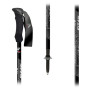 Трекінгові палиці Fizan Compact MS